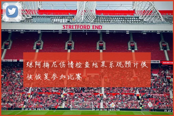 琼阿梅尼伤情检查结果乐观预计很快恢复参加比赛