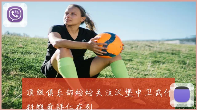 顶级俱乐部纷纷关注汉堡中卫武什科维奇拜仁在列