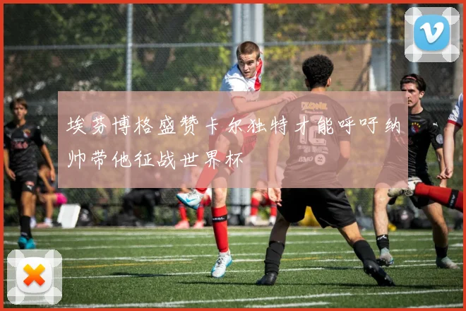 埃芬博格盛赞卡尔独特才能呼吁纳帅带他征战世界杯