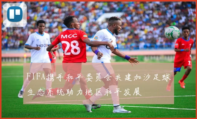 FIFA携手和平委员会共建加沙足球生态系统助力地区和平发展