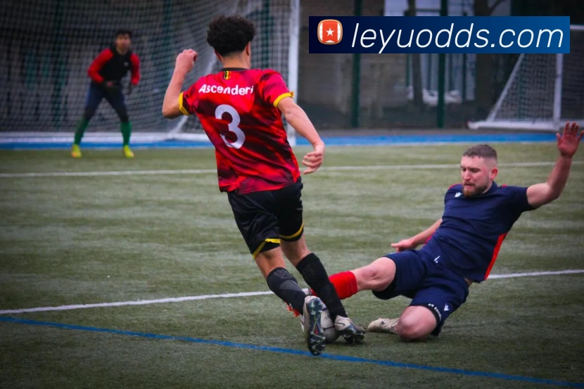 多媒体互动体验